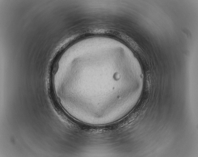 X0000111190728200907221109