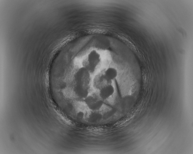 X0000111190729200907221109