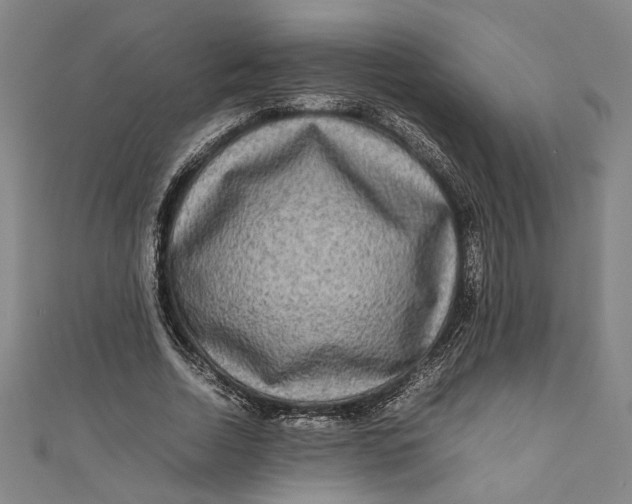 X0000111190730200907221109