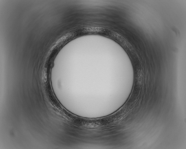 X0000111190731200907221109