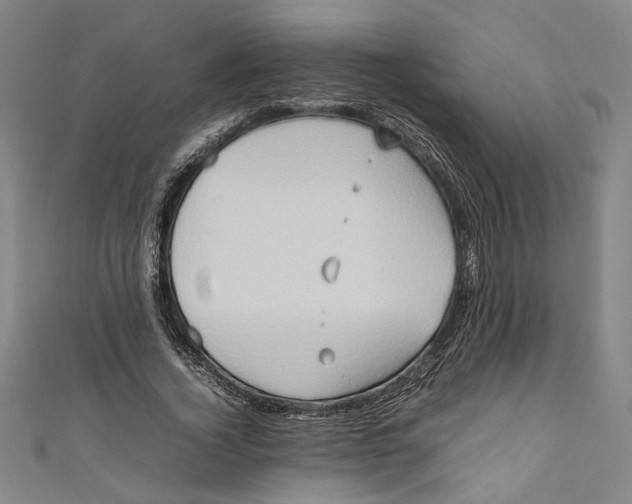 X0000111190732200907221109