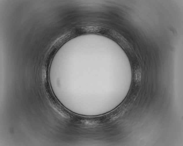 X0000111190733200907221109