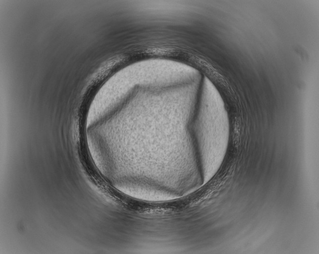 X0000111190734200907221109