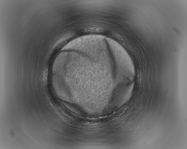 X0000111190735200907221109