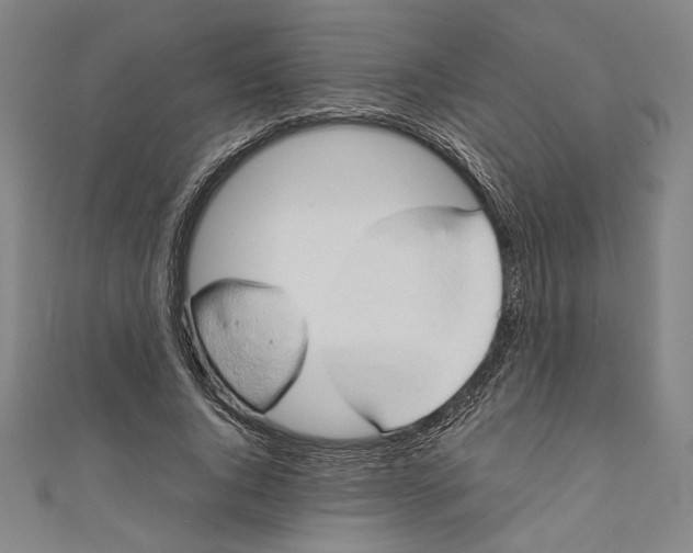 X0000111190736200907221109