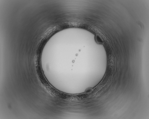 X0000111190738200907221109