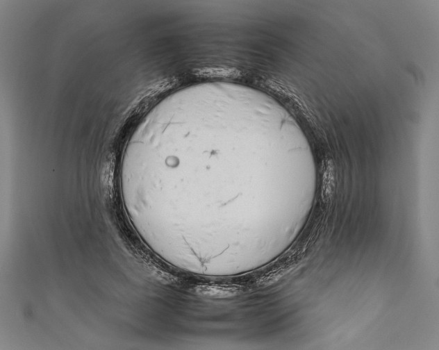 X0000111190739200907221109