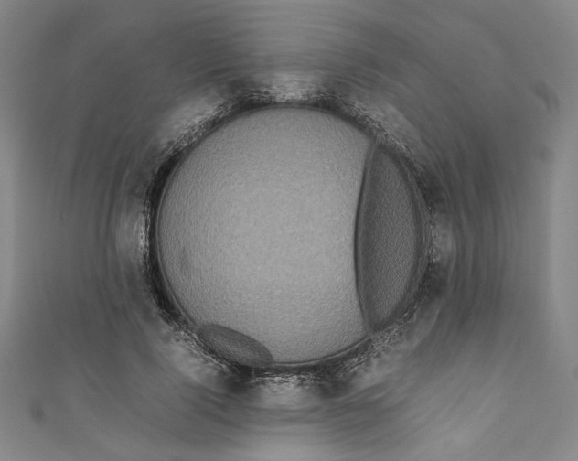 X0000111190740200907221109