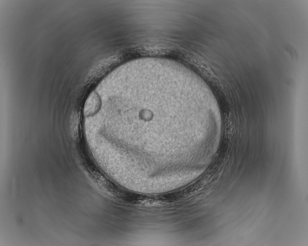 X0000111190742200907221109