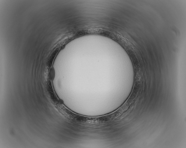 X0000111190744200907221109