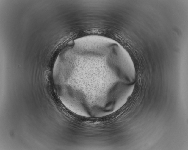 X0000111190747200907221109