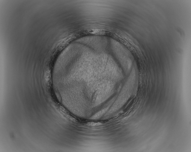 X0000111190748200907221109