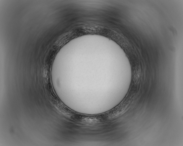 X0000111190749200907221109