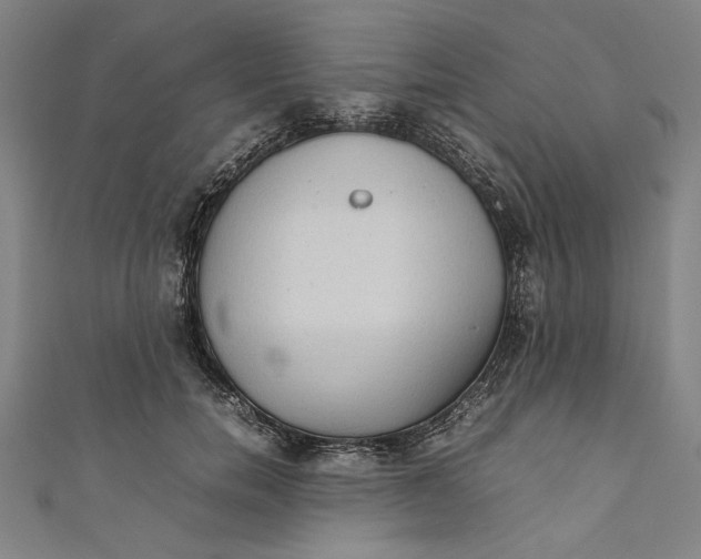 X0000111190750200907221109