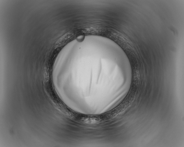 X0000111190751200907221109