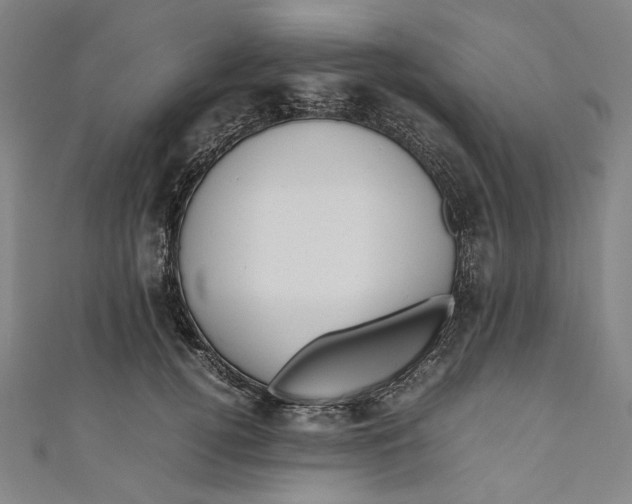 X0000111190752200907221109