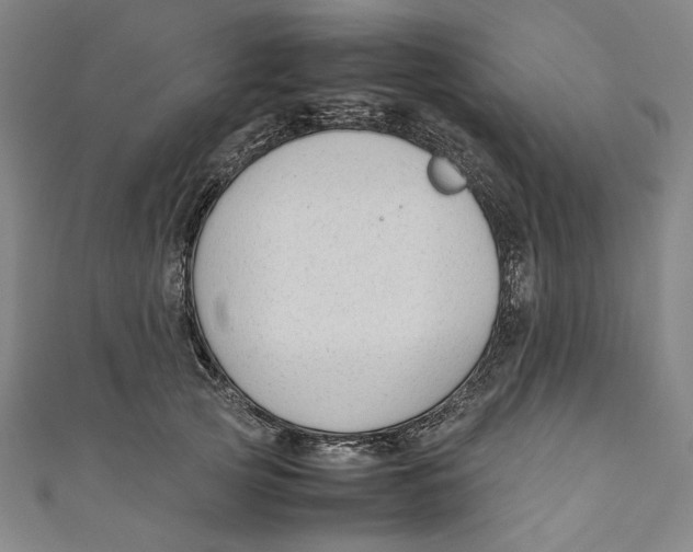 X0000111190753200907221109