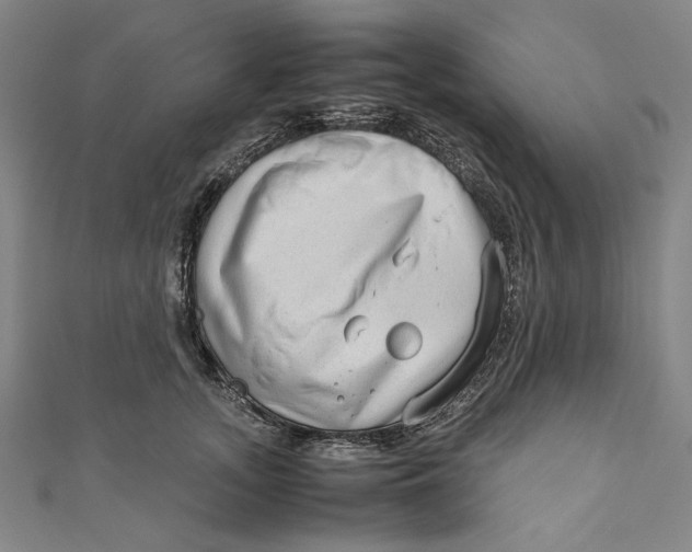 X0000111190755200907221109