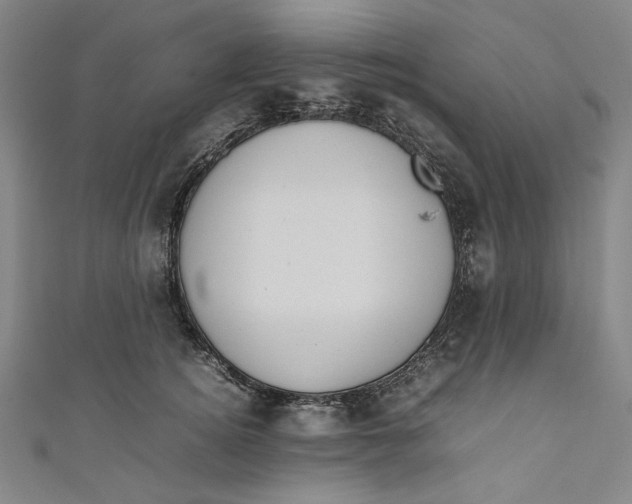 X0000111190756200907221109