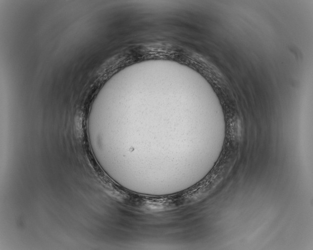 X0000111190757200907221109