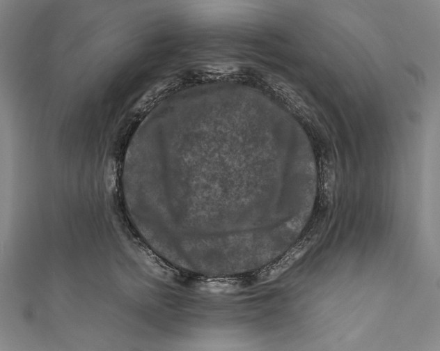 X0000111190758200907221109