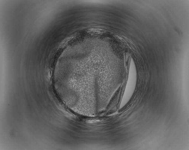 X0000111190759200907221109