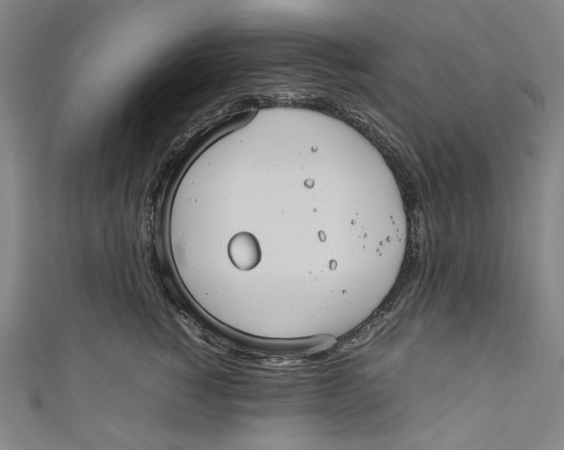 X0000111190760200907221109