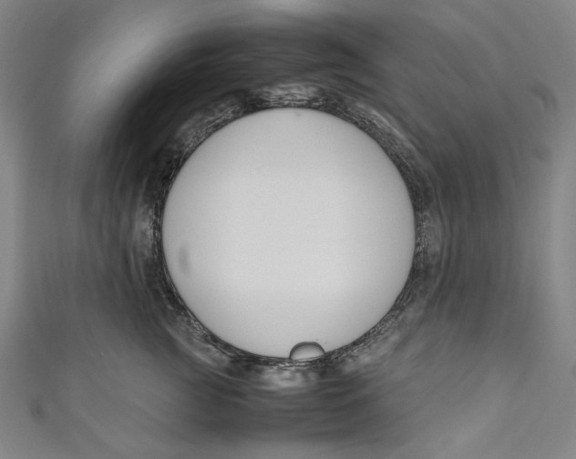 X0000111190761200907221109