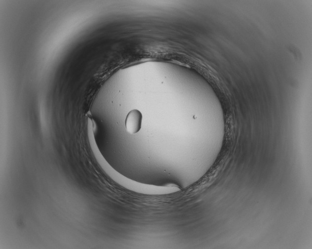 X0000111190762200907221109