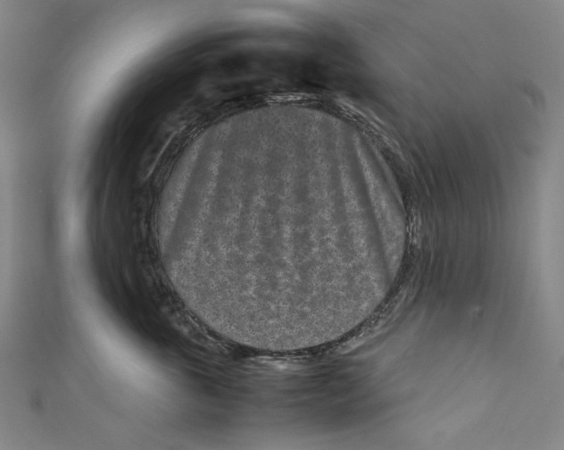 X0000111190763200907221109