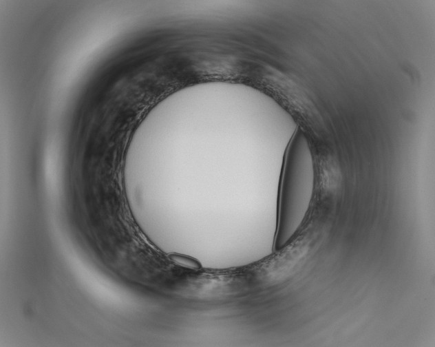 X0000111190764200907221109