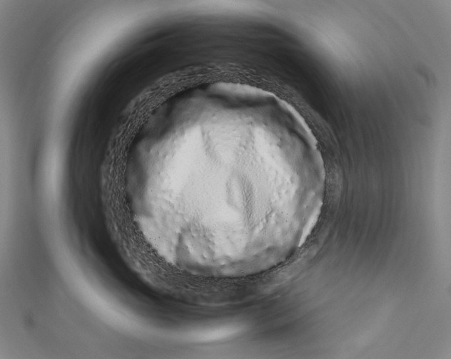 X0000111190765200907221109