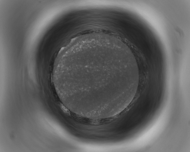 X0000111190766200907221109