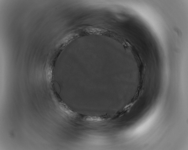 X0000111190767200907221109