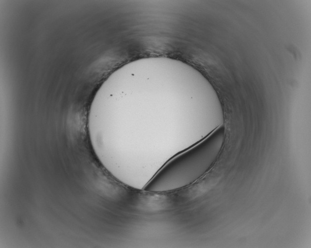 X0000111190768200907221109