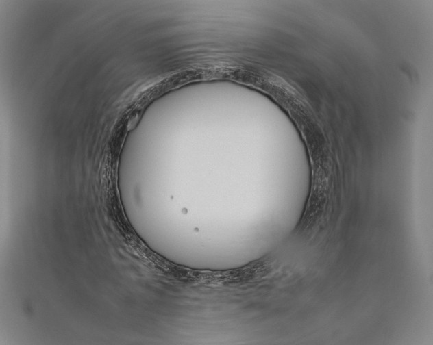 X0000111190773200907221108