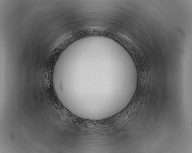 X0000111190774200907221108