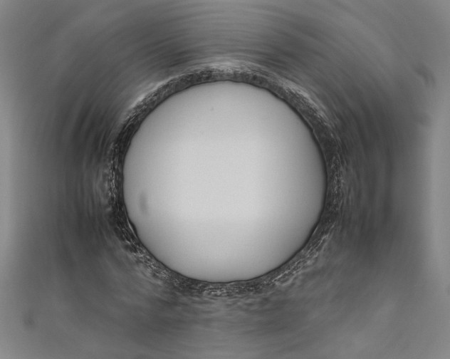 X0000111190776200907221108