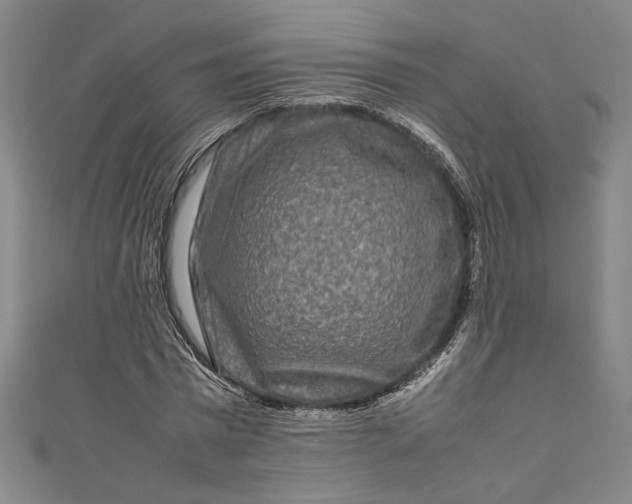 X0000111190777200907221108