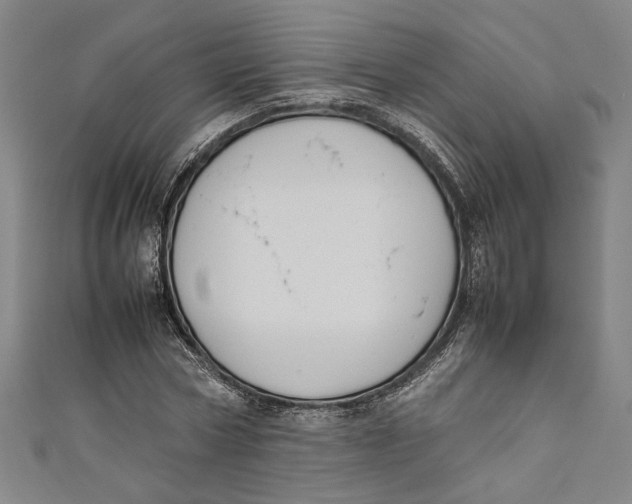 X0000111190778200907221108