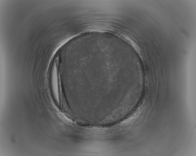 X0000111190779200907221108