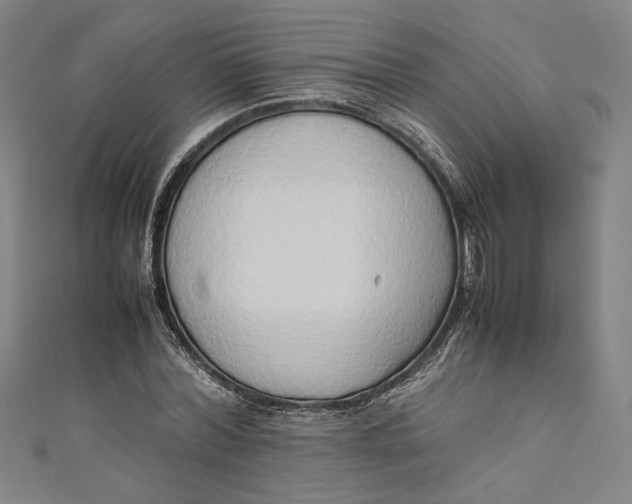 X0000111190780200907221108