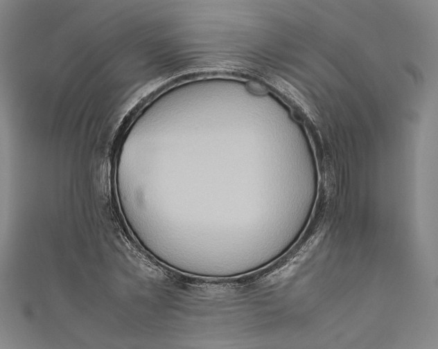 X0000111190781200907221108