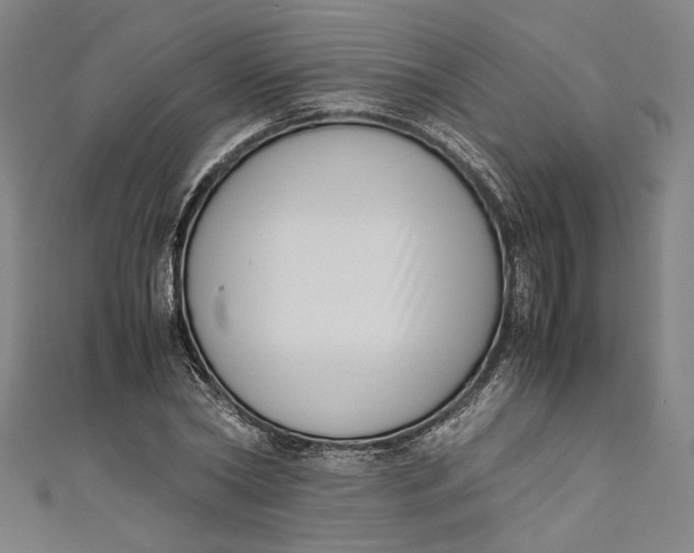 X0000111190782200907221108