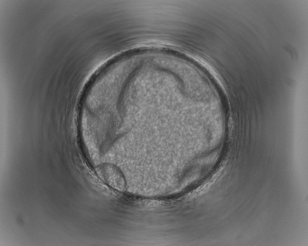 X0000111190783200907221108