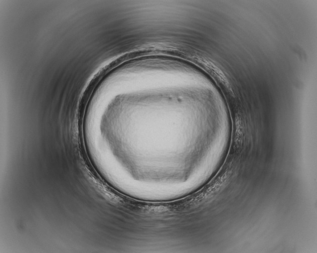 X0000111190784200907221108