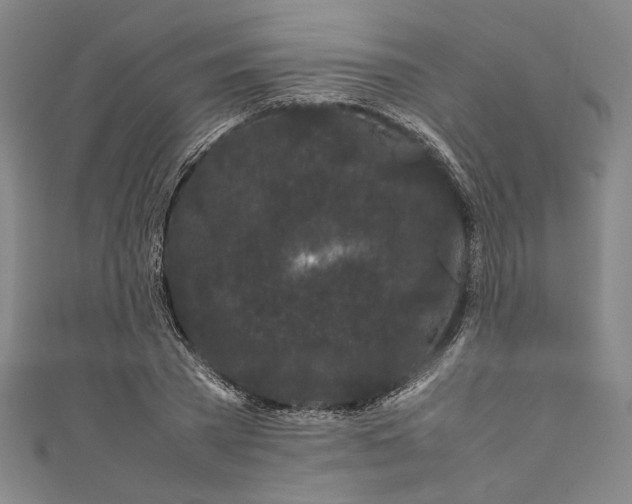 X0000111190785200907221108