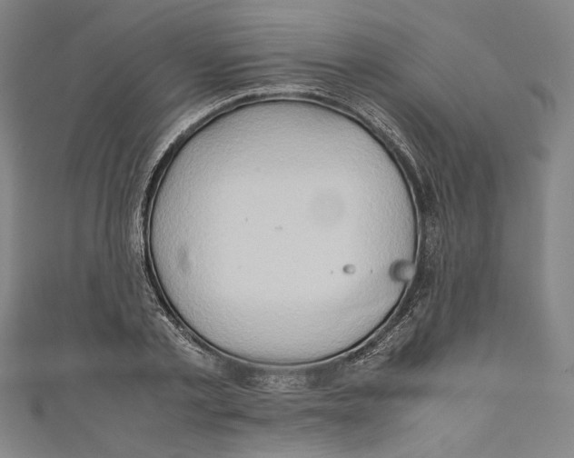 X0000111190789200907221108