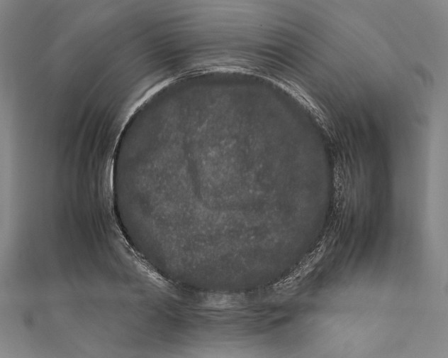 X0000111190790200907221108