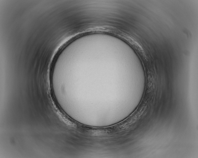 X0000111190792200907221108